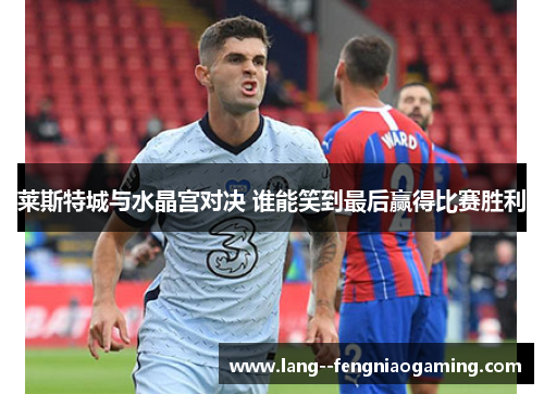 莱斯特城与水晶宫对决 谁能笑到最后赢得比赛胜利