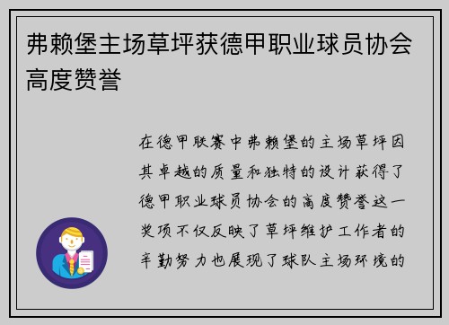 弗赖堡主场草坪获德甲职业球员协会高度赞誉